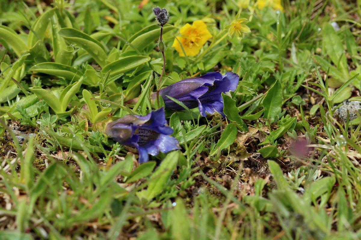 2017_07_03_036855p_Bildgr��e �ndern