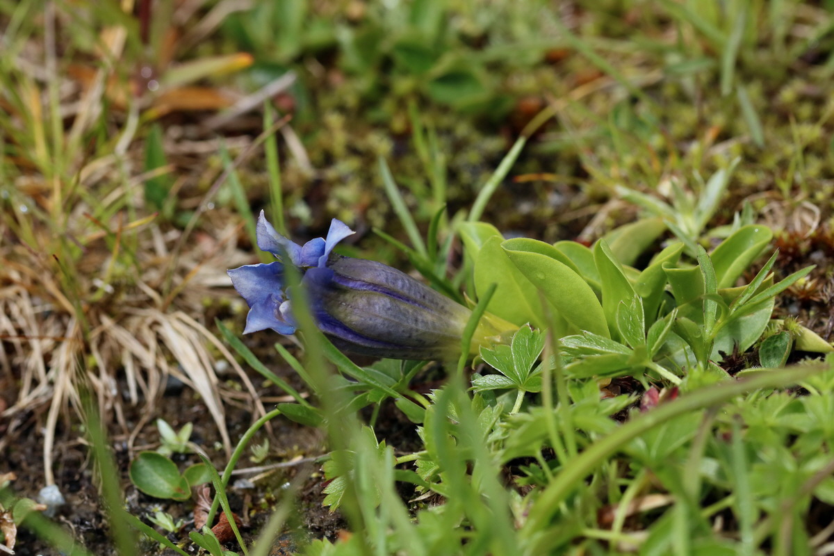 2017_07_03_036858p_Bildgr��e �ndern