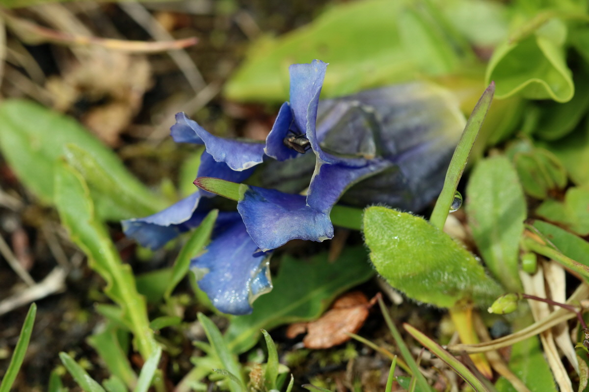 2017_07_03_036860p_Bildgr��e �ndern