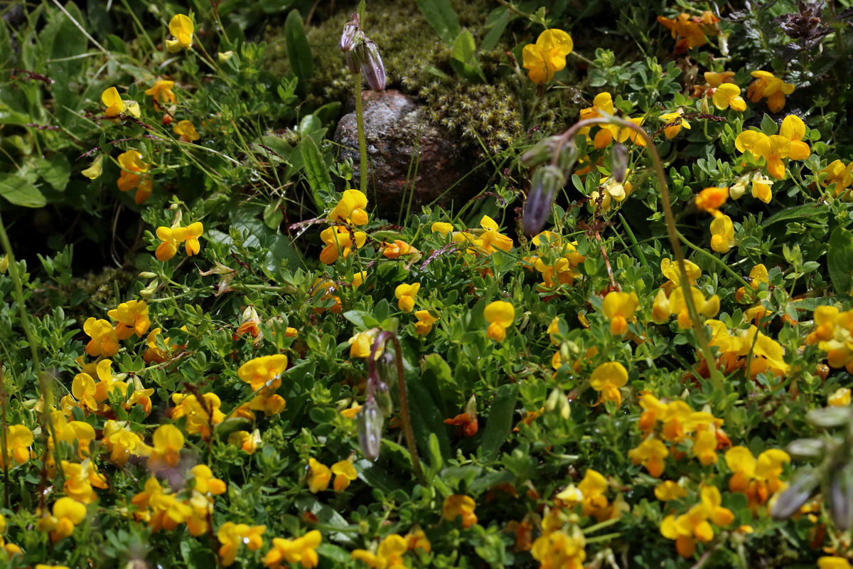 2017_07_03_036865p_Bildgr��e �ndern