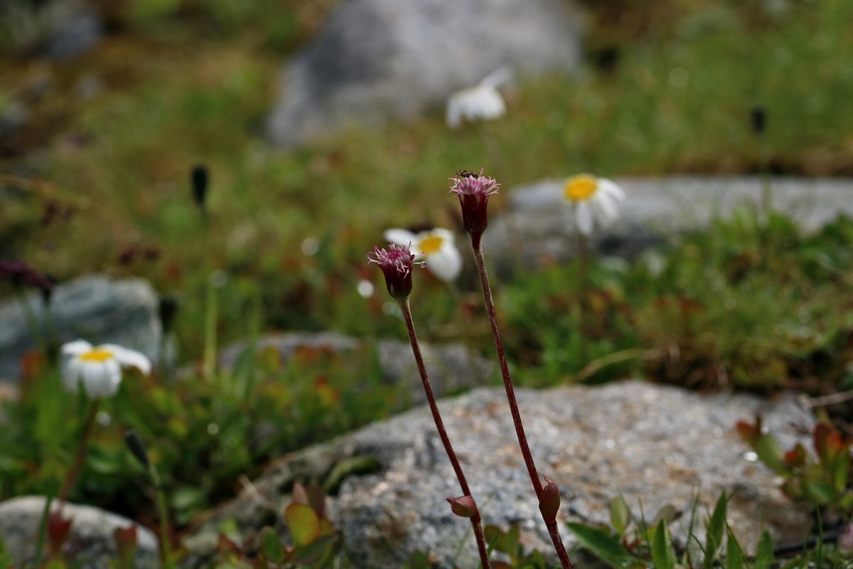 2017_07_03_036869p_Bildgr��e �ndern