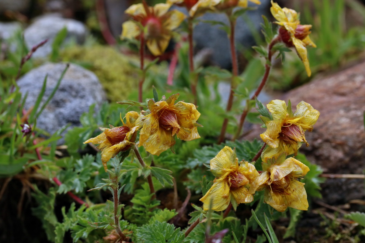 2017_07_03_036876p_Bildgr��e �ndern