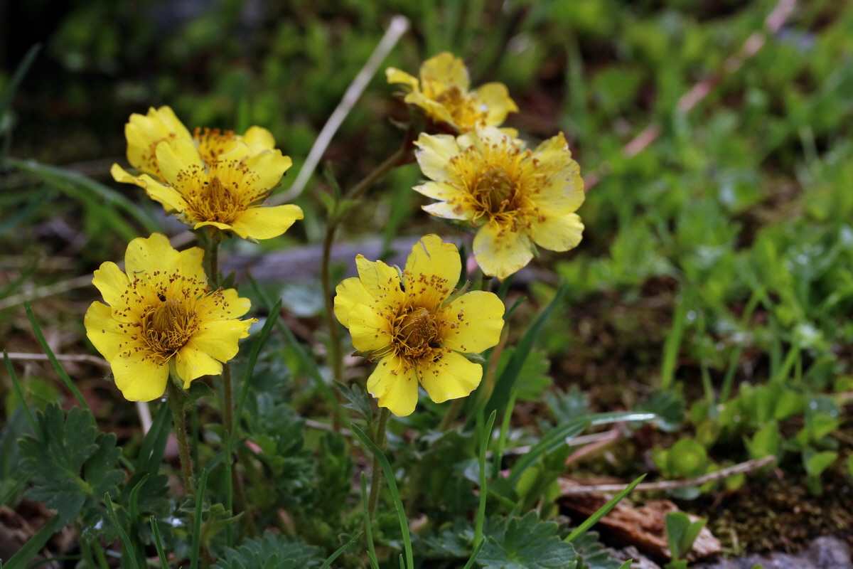 2017_07_03_036882p_Bildgr��e �ndern