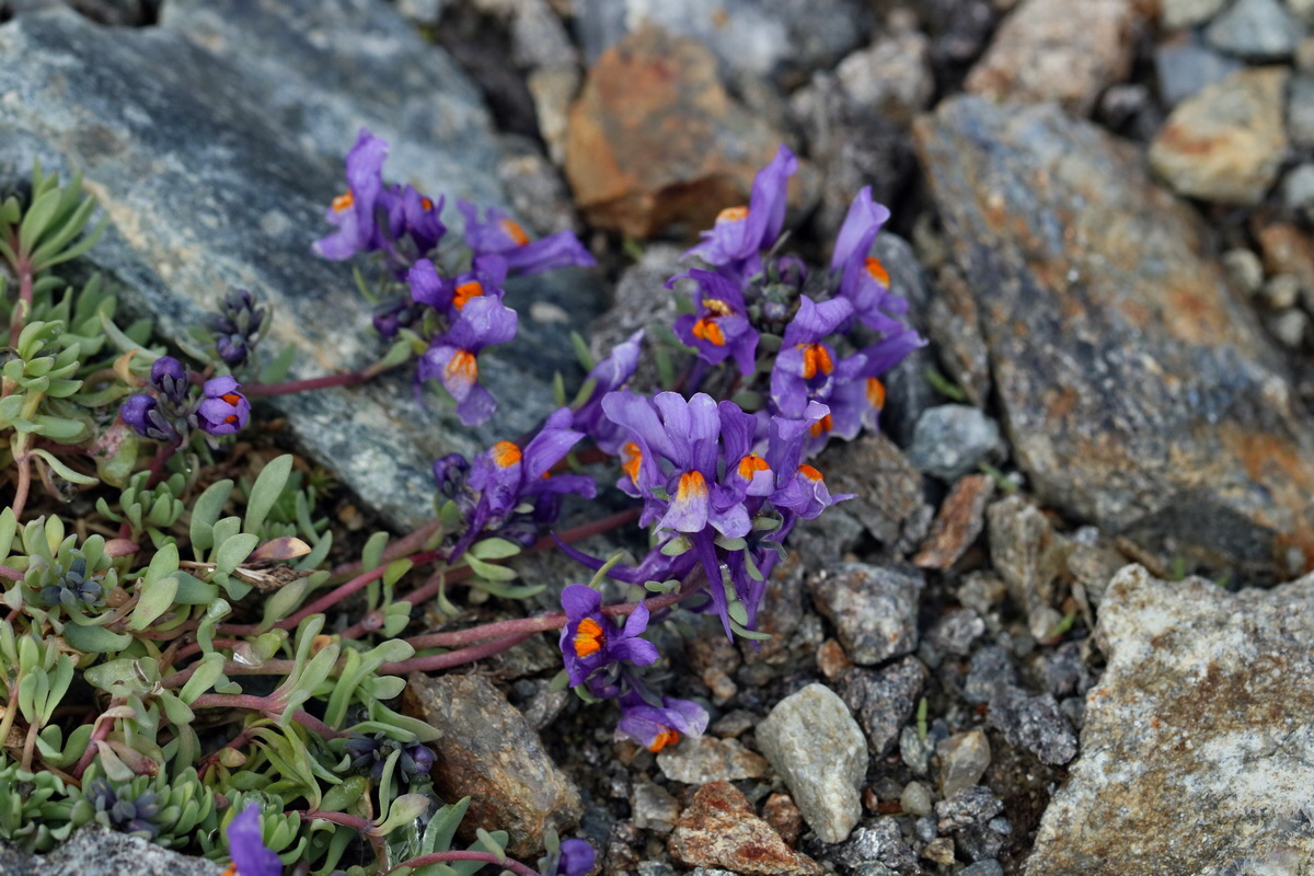 2017_07_03_036889p_Bildgr��e �ndern