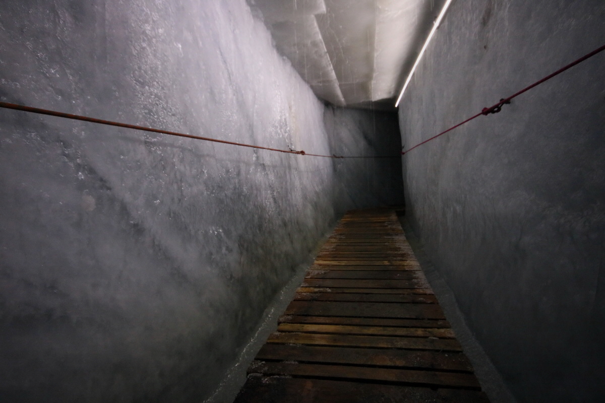 2017_07_03_036893p_Bildgr��e �ndern