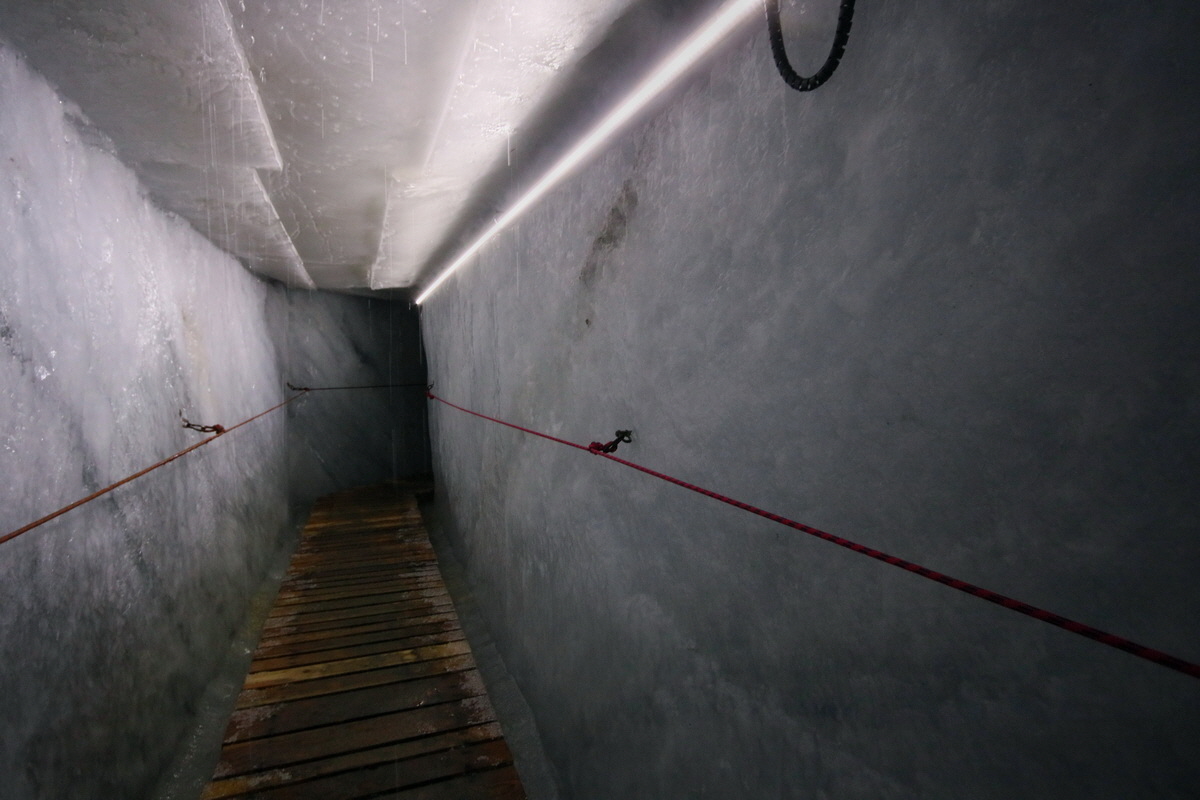 2017_07_03_036900p_Bildgr��e �ndern