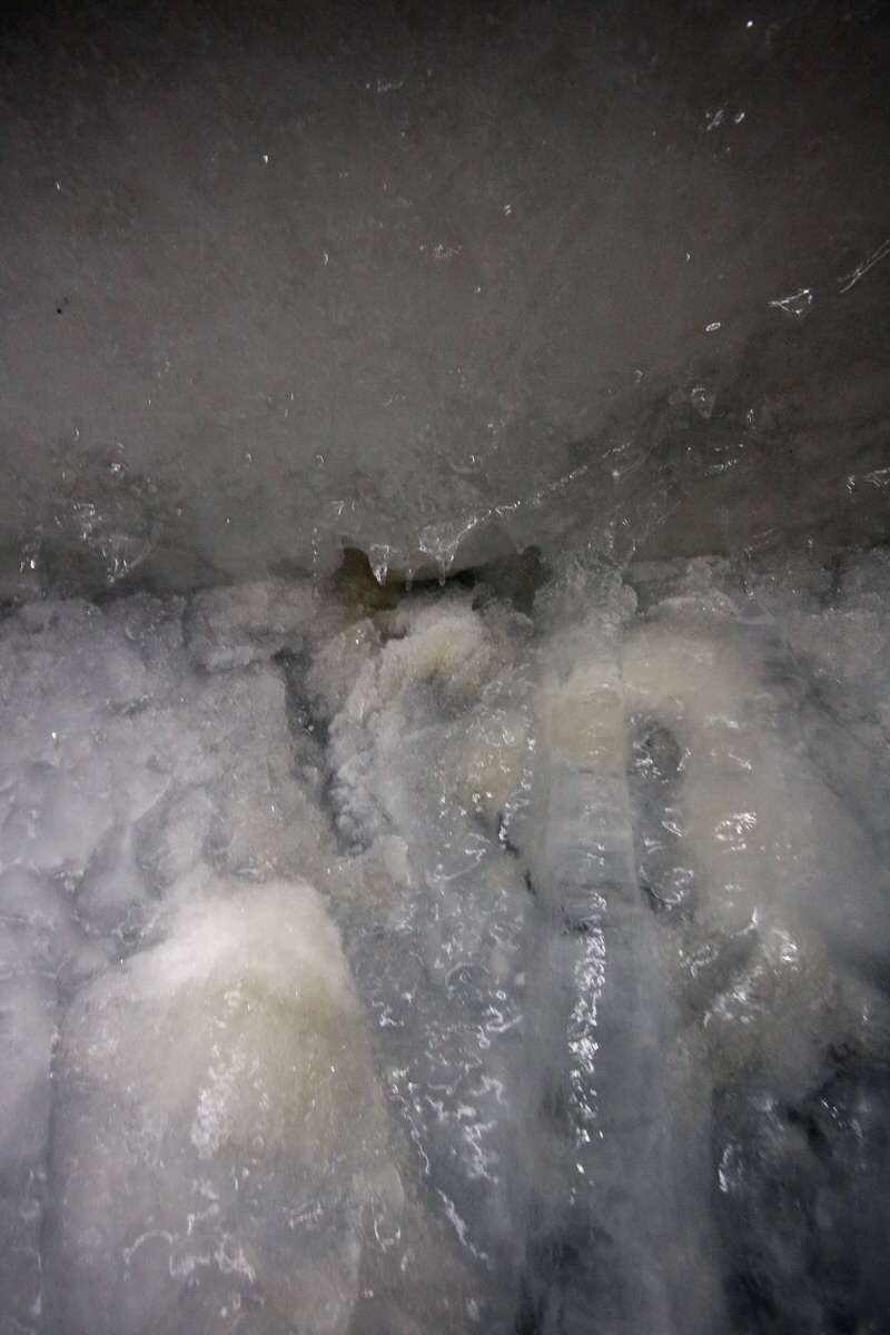 2017_07_03_036909p_Bildgr��e �ndern