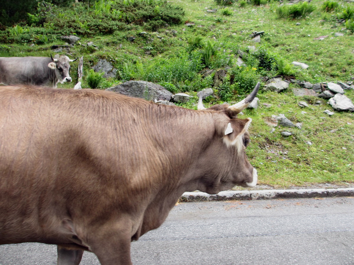 IMG_0271p_Bildgr��e �ndern