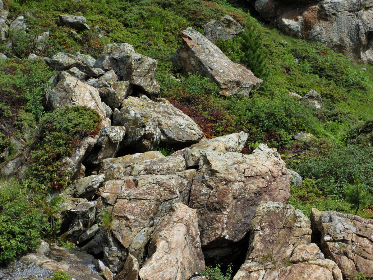 IMG_0273p_Bildgr��e �ndern