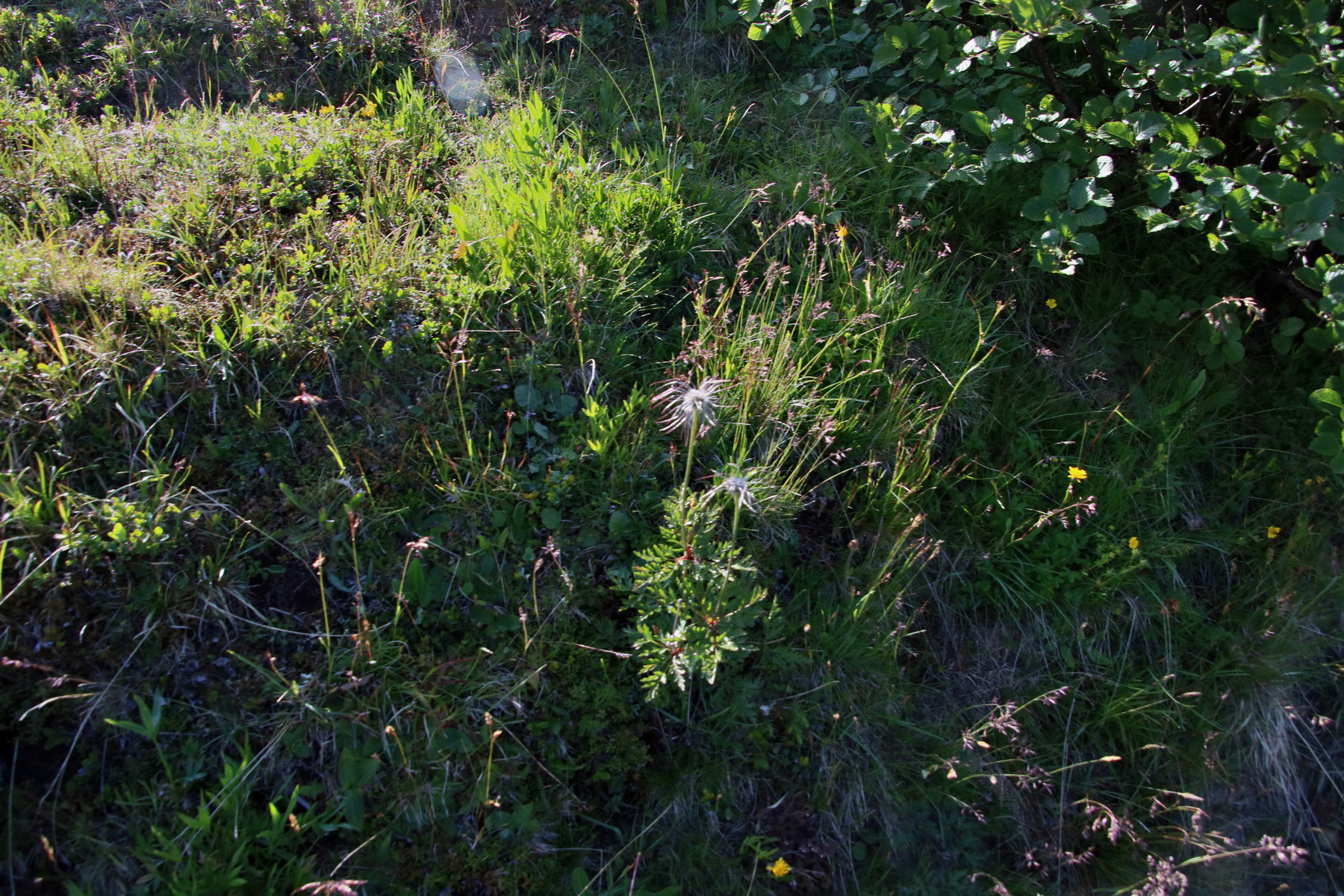 2017_07_04_037283p_Bildgr��e �ndern