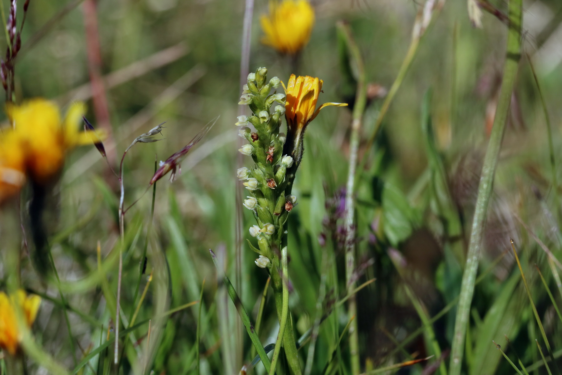 2017_07_04_037299p_Bildgr��e �ndern