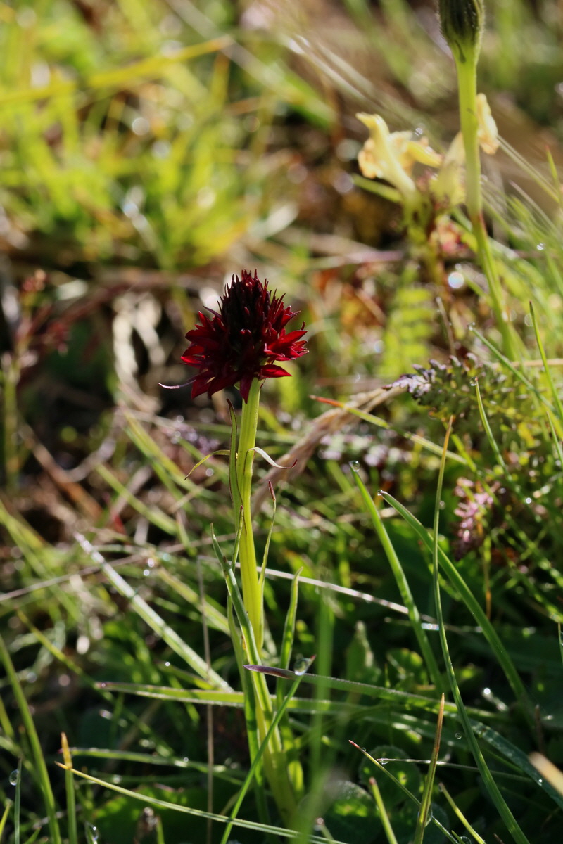 2017_07_04_037305p_Bildgr��e �ndern