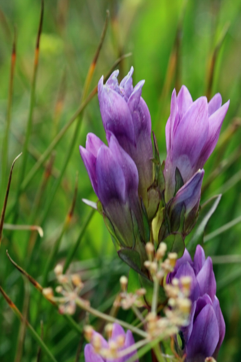 2017_07_04_037347p_Bildgr��e �ndern