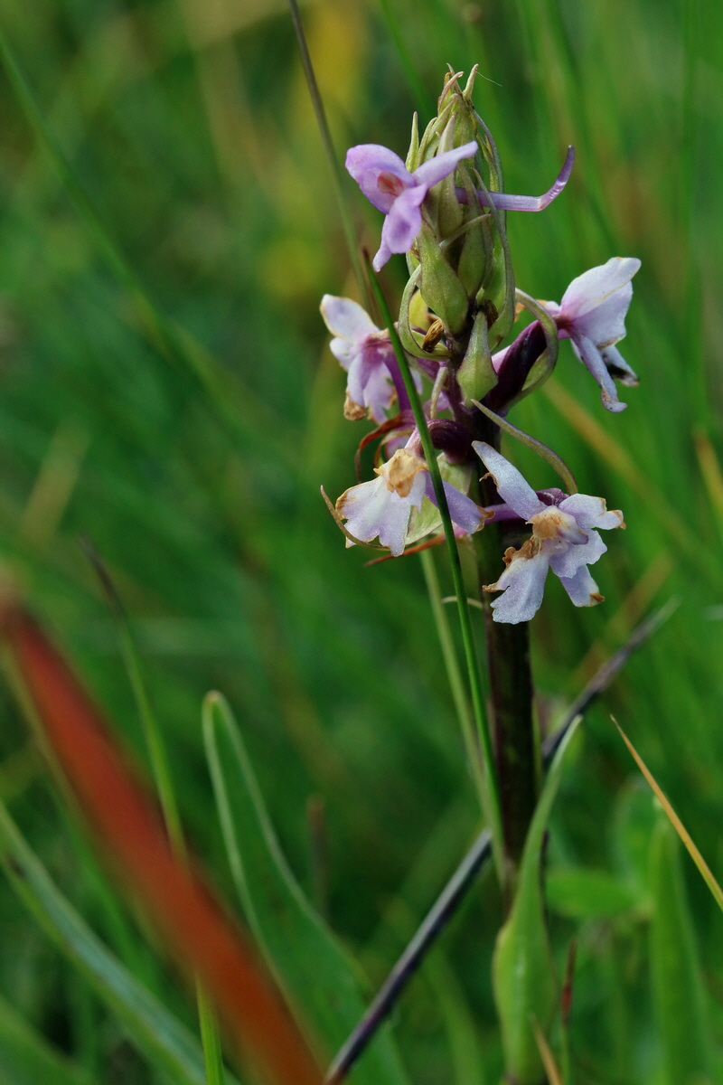 2017_07_04_037355p_Bildgr��e �ndern