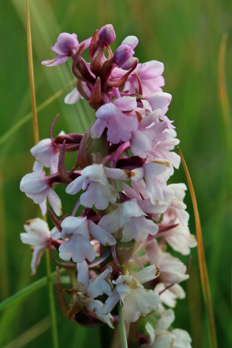 2017_07_04_037357p_Bildgr��e �ndern