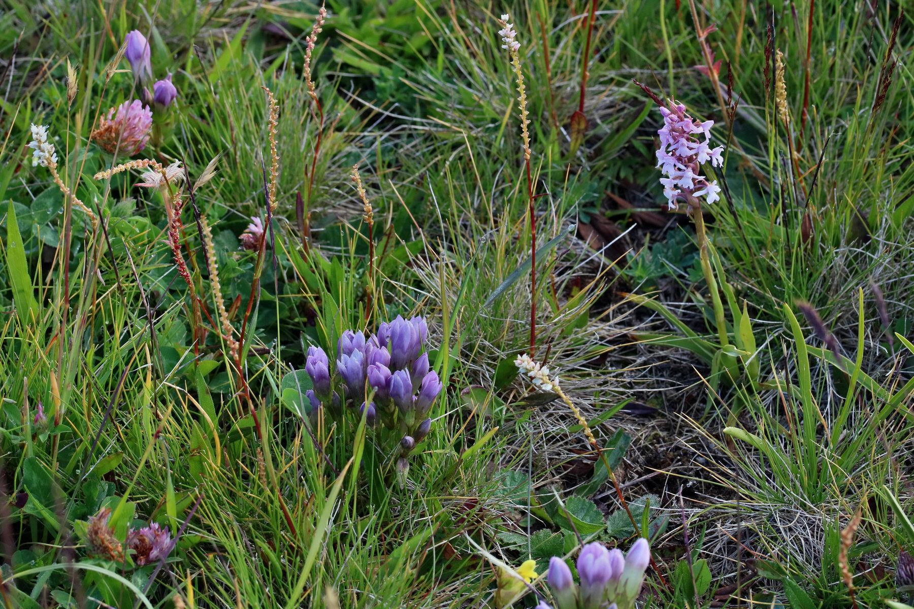 2017_07_04_037369p_Bildgr��e �ndern