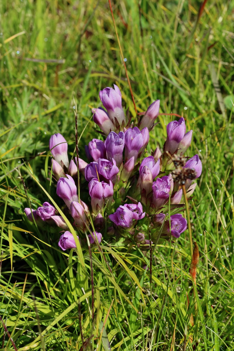 2017_07_04_037386p_Bildgr��e �ndern