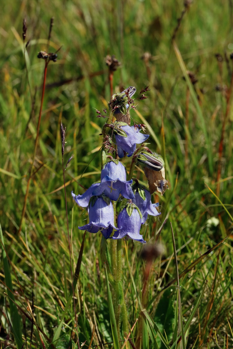 2017_07_04_037389p_Bildgr��e �ndern