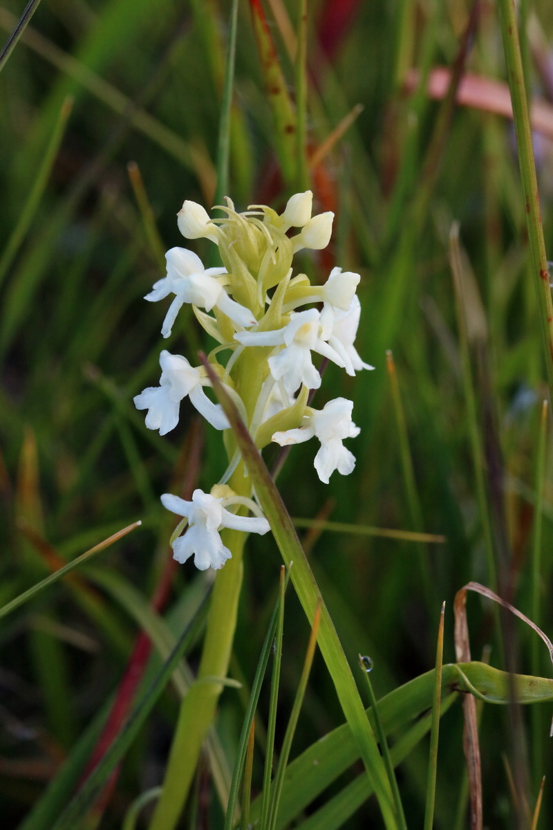 2017_07_04_037391p_Bildgr��e �ndern