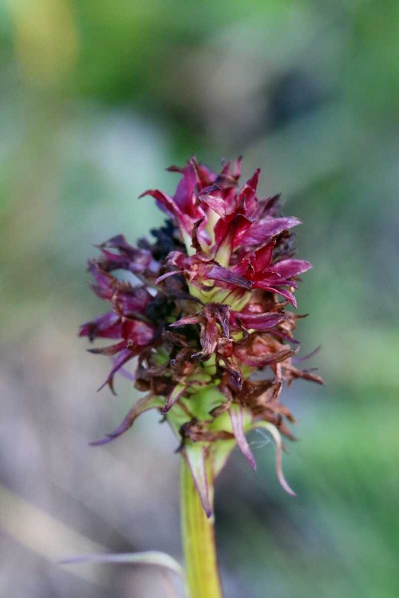 2017_07_04_037395p_Bildgr��e �ndern