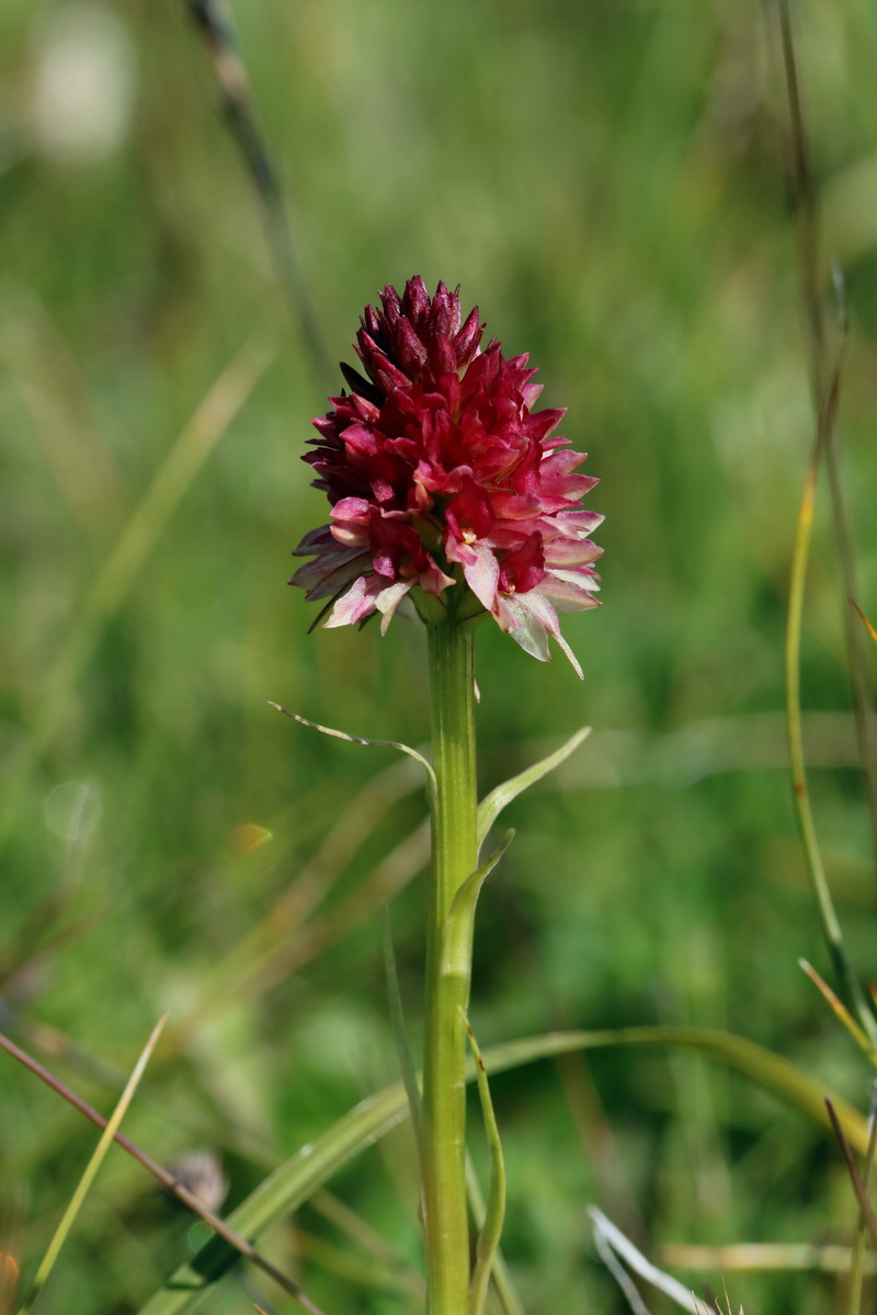 2017_07_04_037398p_Bildgr��e �ndern