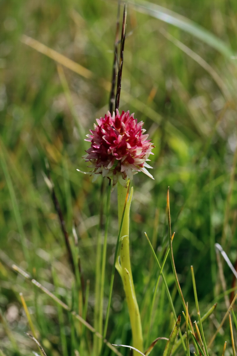 2017_07_04_037409p_Bildgr��e �ndern