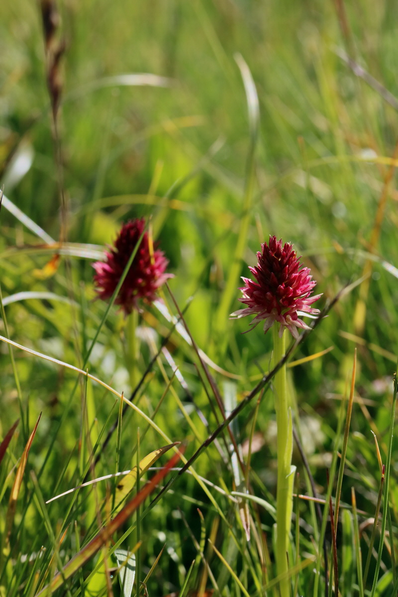 2017_07_04_037414p_Bildgr��e �ndern