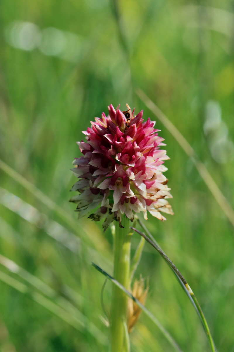 2017_07_04_037426p_Bildgr��e �ndern