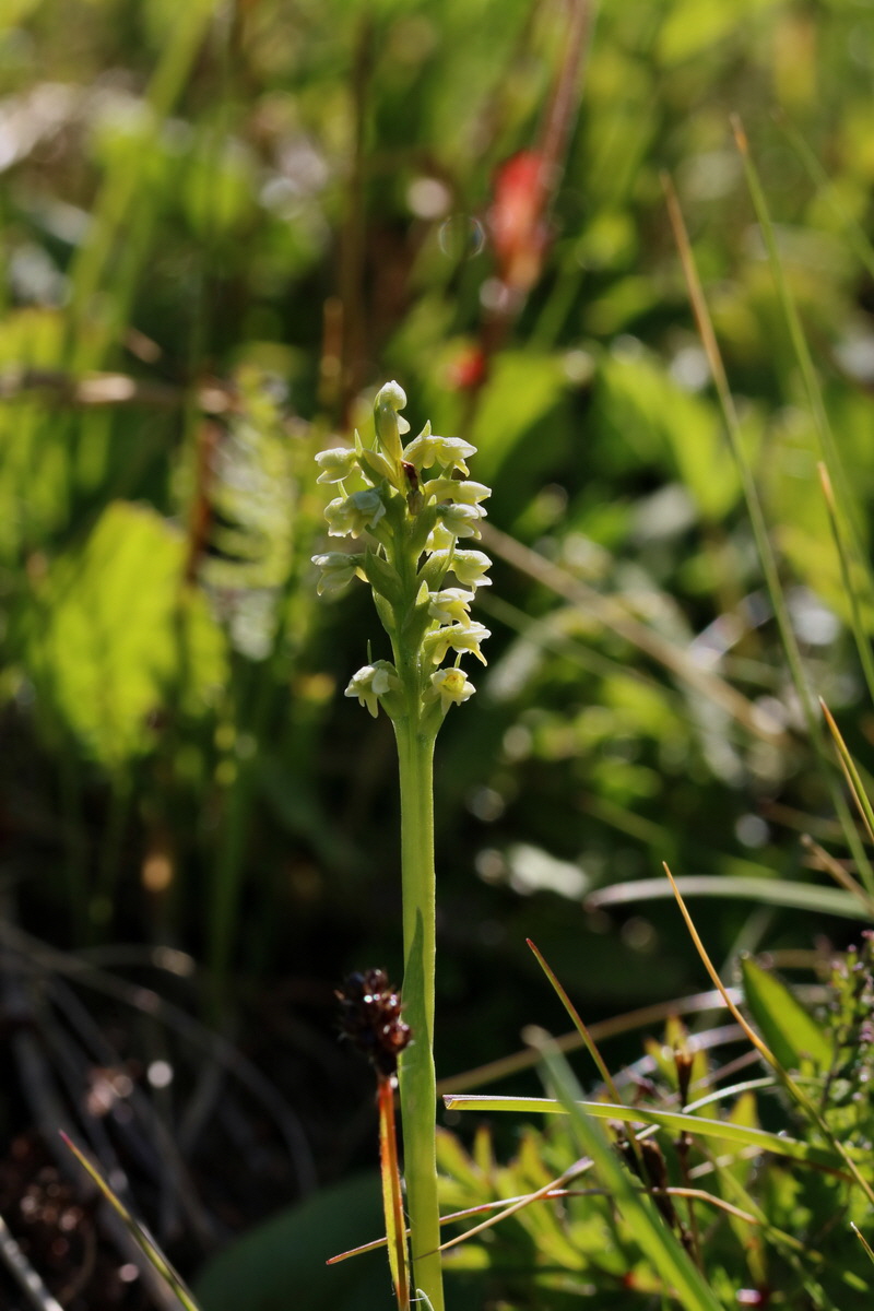 2017_07_04_037433p_Bildgr��e �ndern