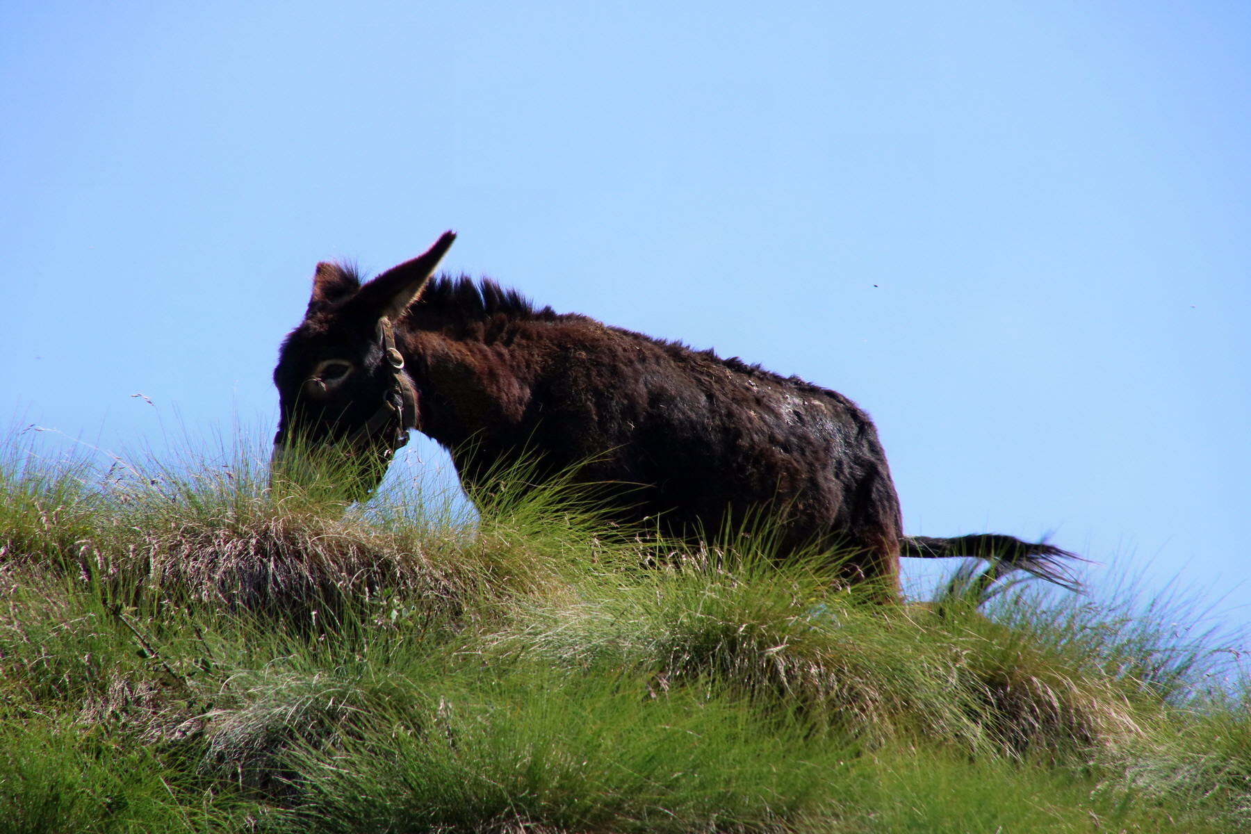 2017_07_04_037460p_Bildgr��e �ndern