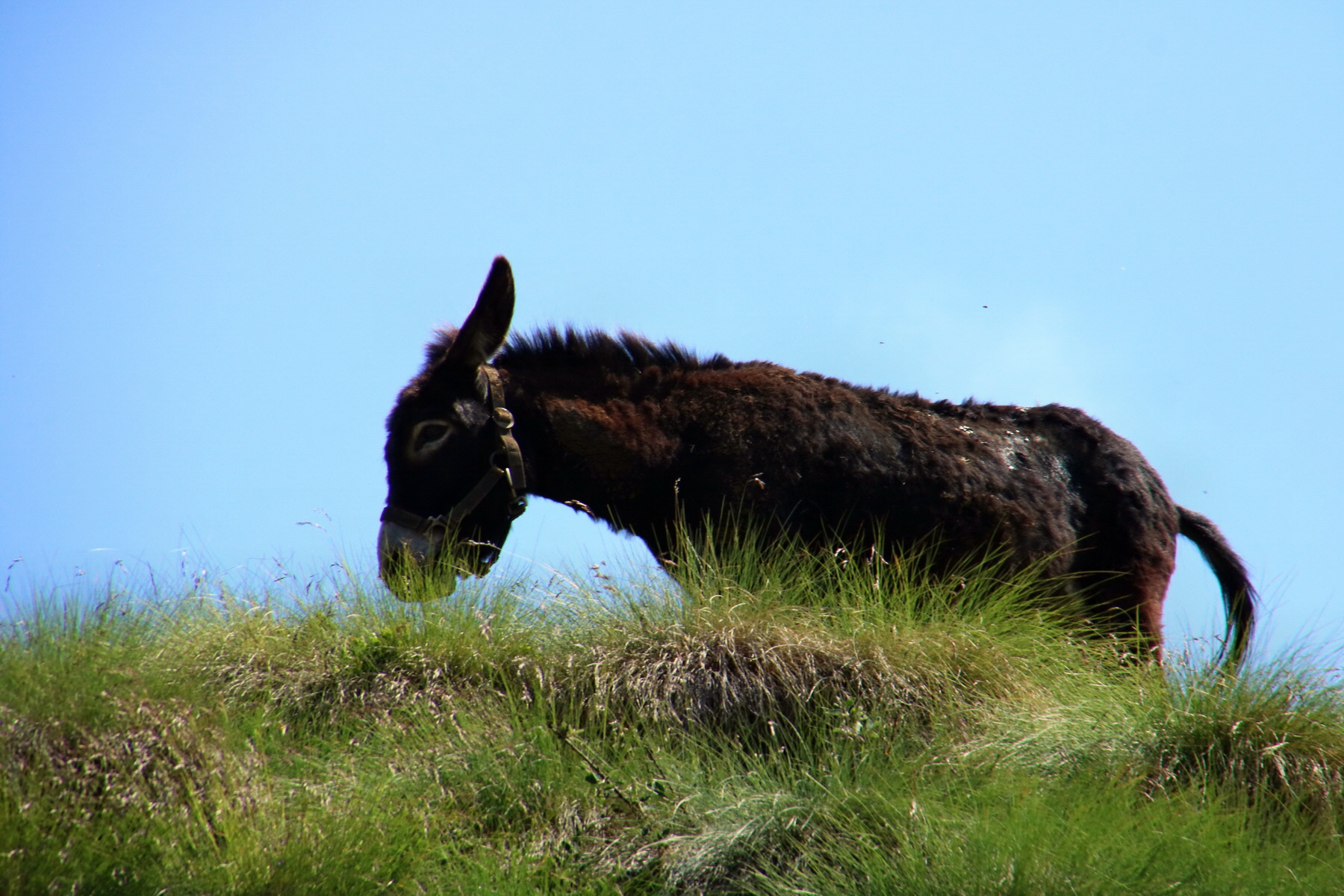 2017_07_04_037498p_Bildgr��e �ndern