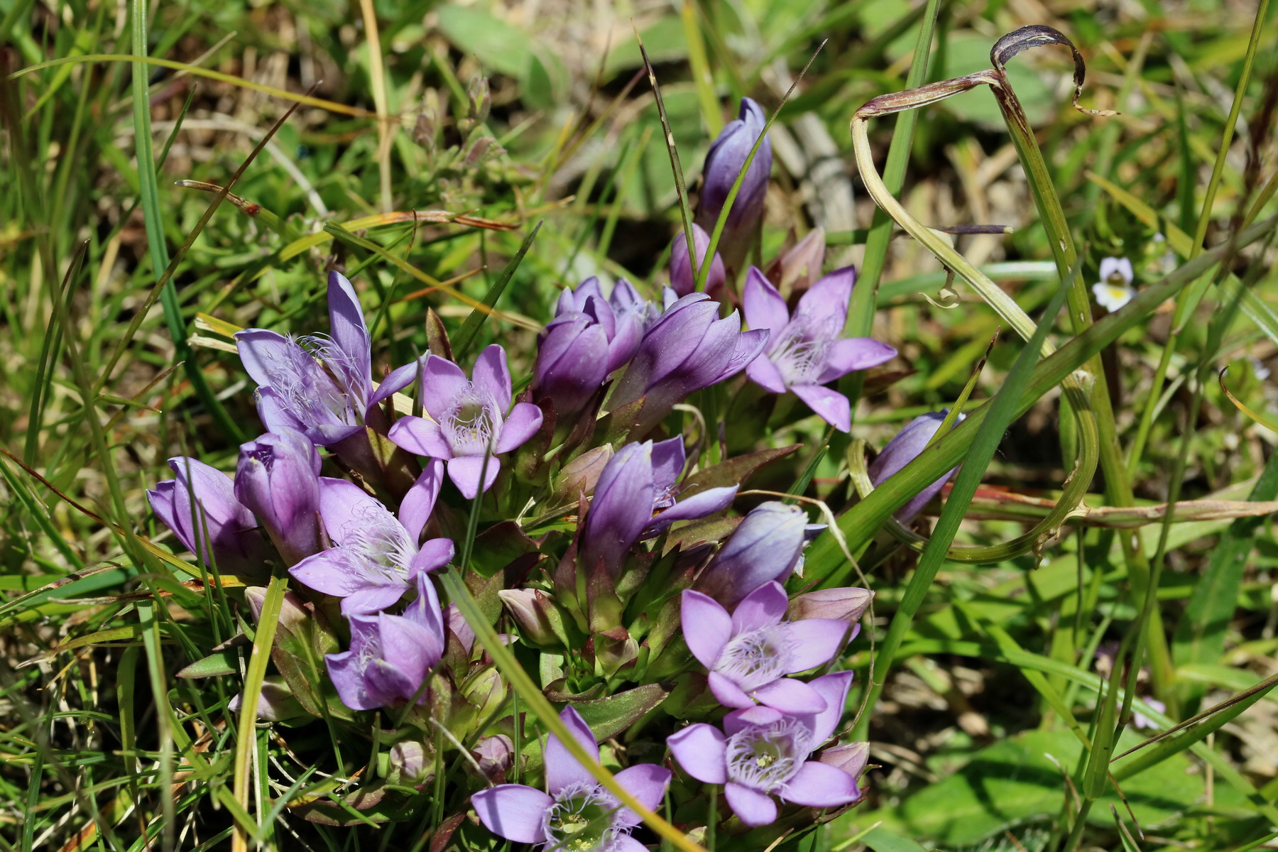 2017_07_04_037503p_Bildgr��e �ndern