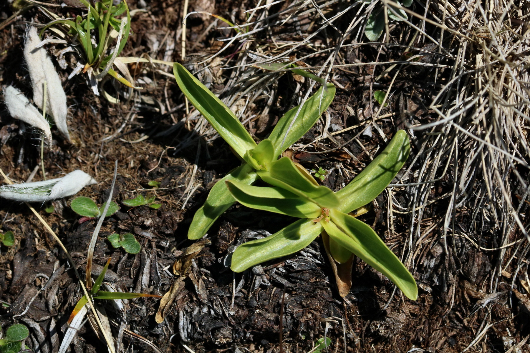 2017_07_04_037518p_Bildgr��e �ndern