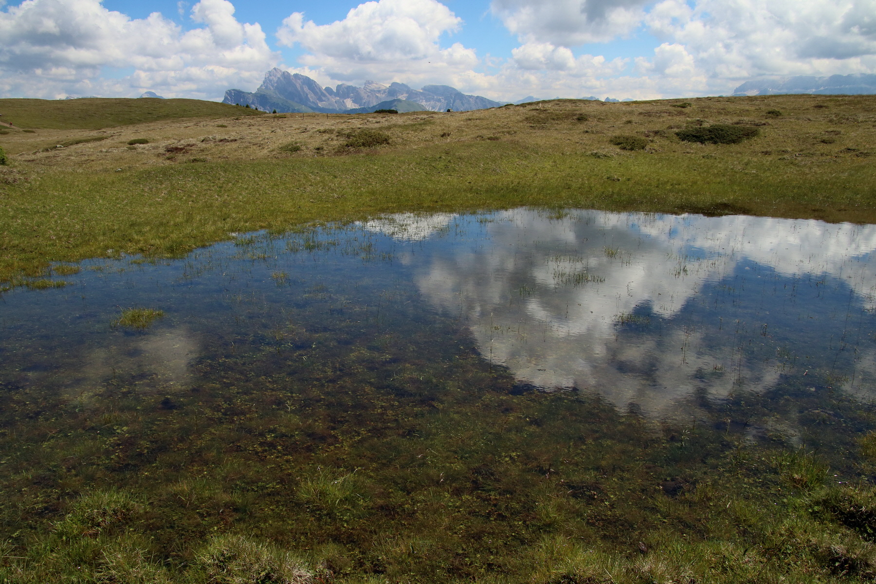 2017_07_04_037552p_Bildgr��e �ndern