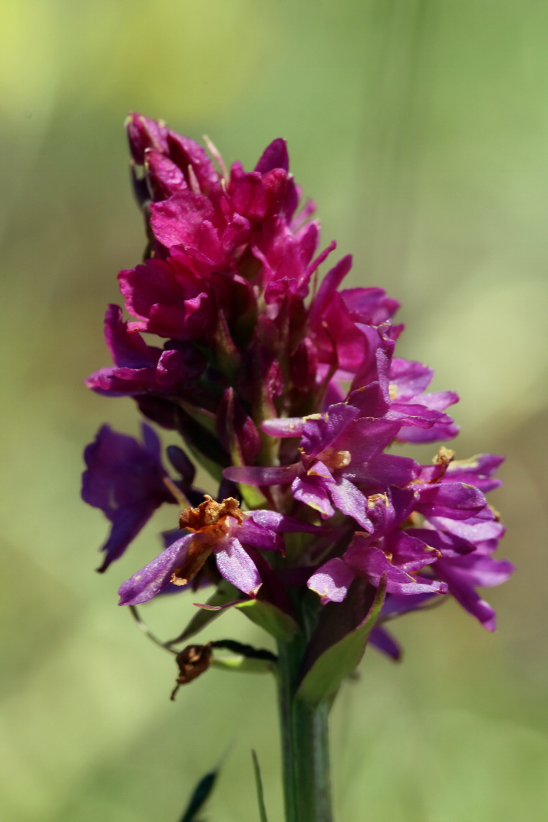 2017_07_04_037597p_Bildgr��e �ndern