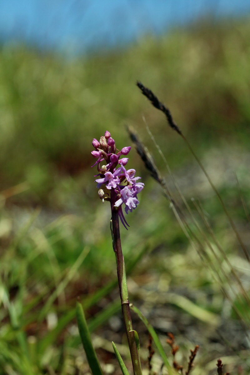 2017_07_04_037608p_Bildgr��e �ndern