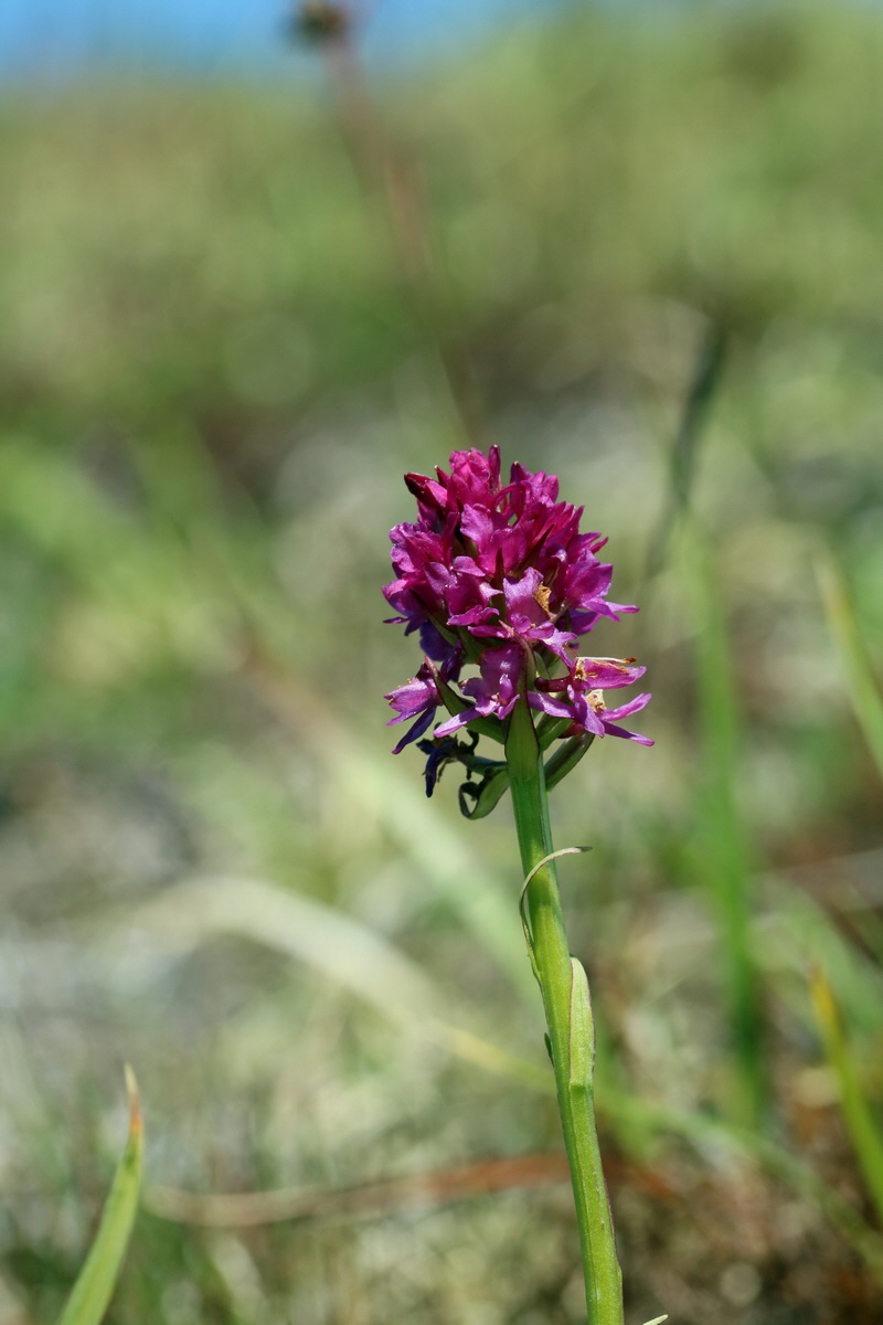 2017_07_04_037609p_Bildgr��e �ndern