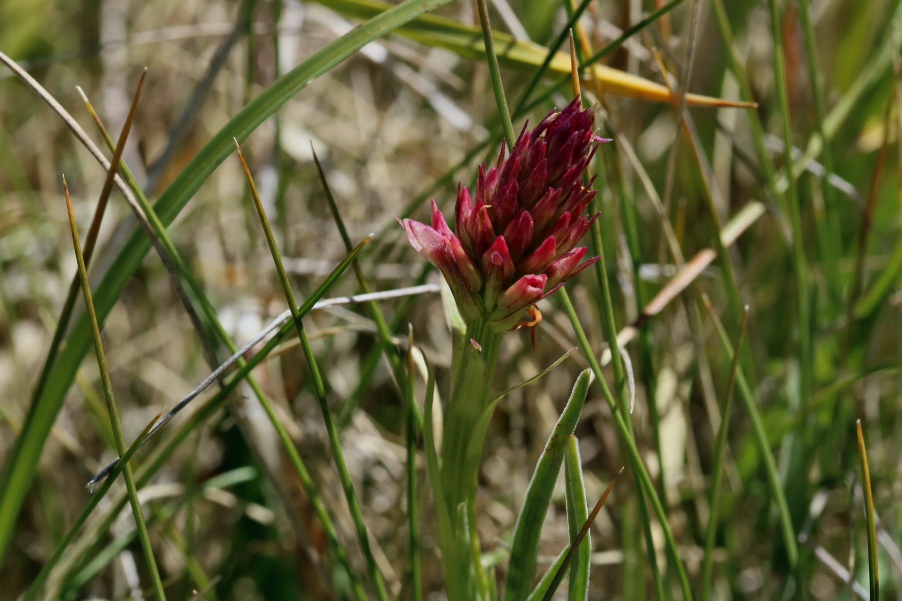 2017_07_04_037690p_Bildgr��e �ndern