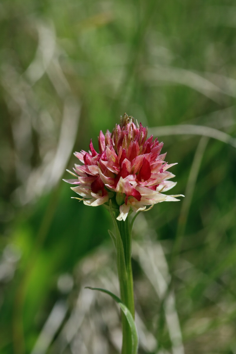 2017_07_04_037720p_Bildgr��e �ndern