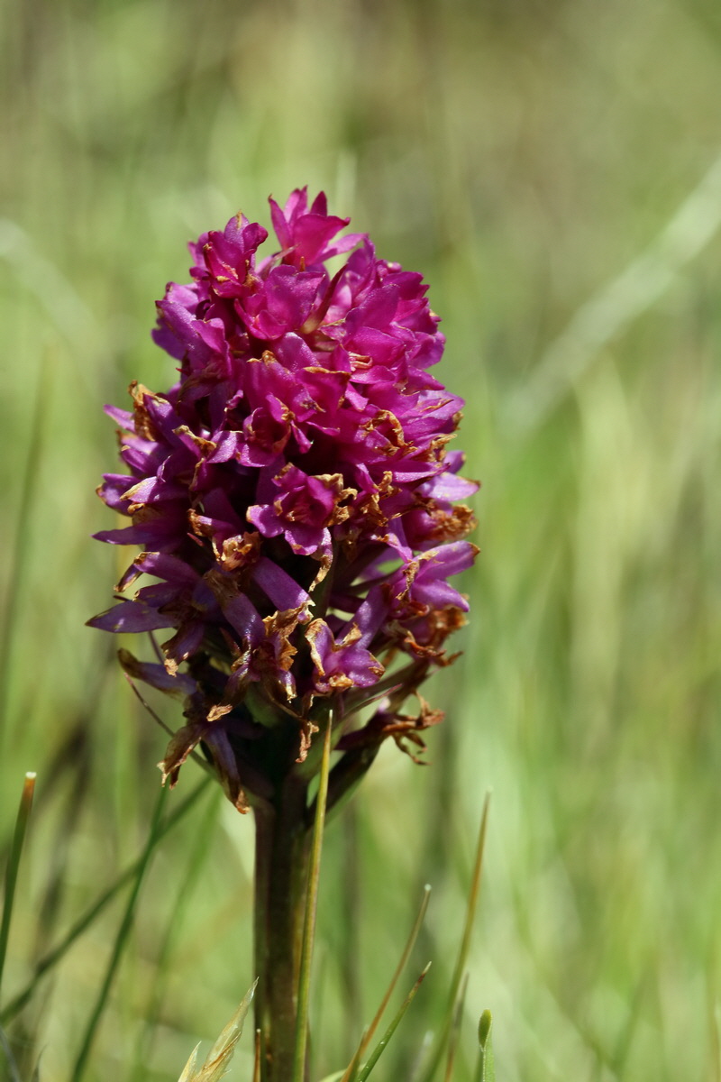 2017_07_04_037730p_Bildgr��e �ndern