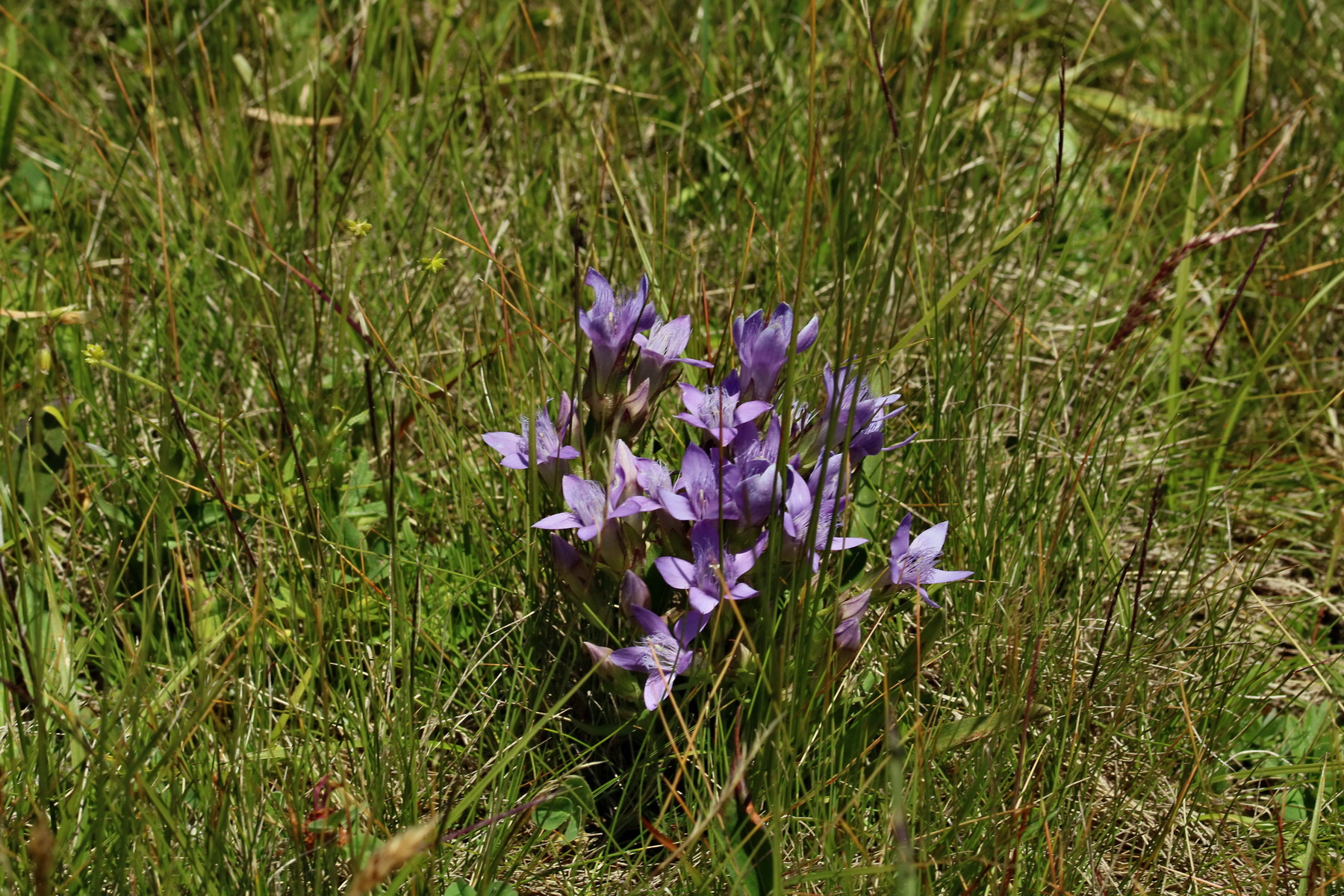 2017_07_04_037751p_Bildgr��e �ndern