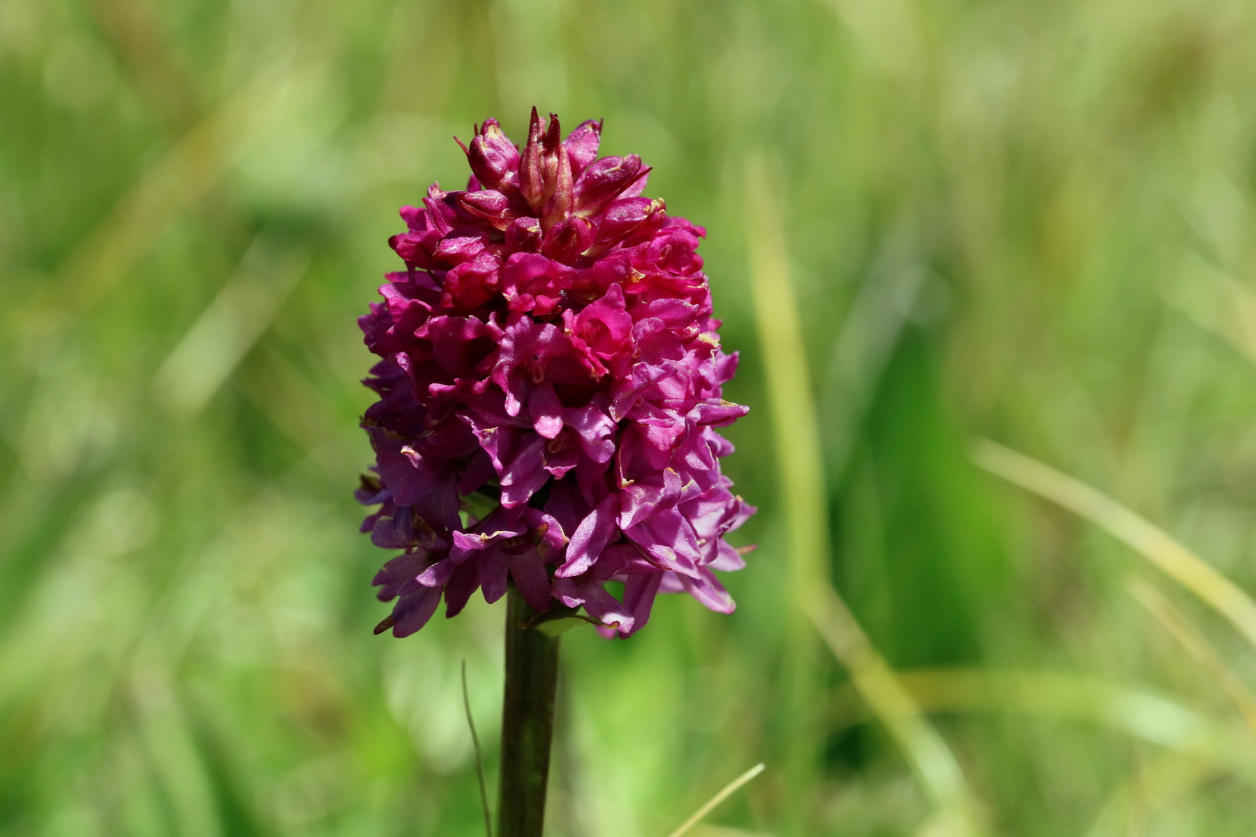 2017_07_04_037786p_Bildgr��e �ndern