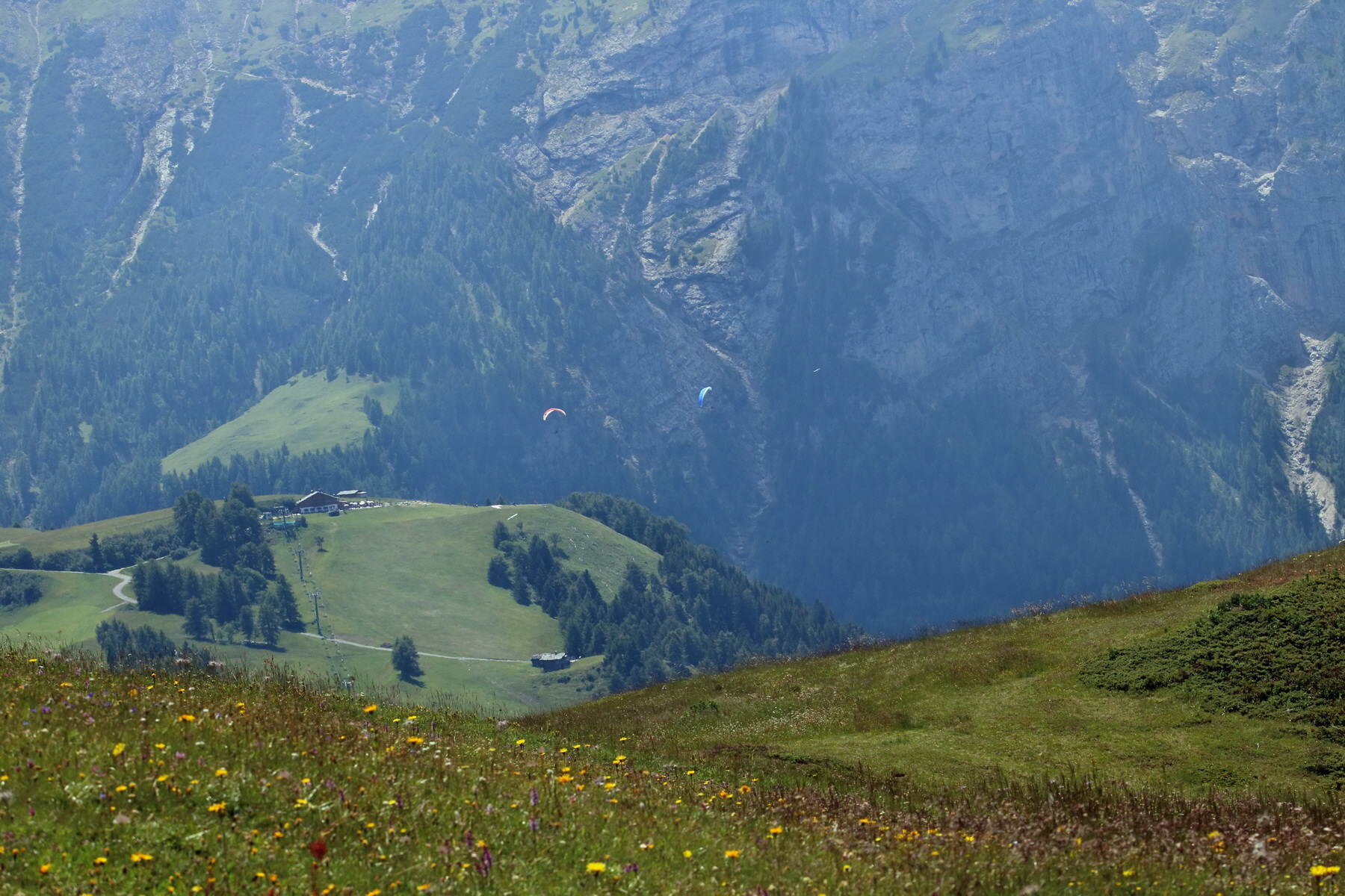 2017_07_04_037828p_Bildgr��e �ndern