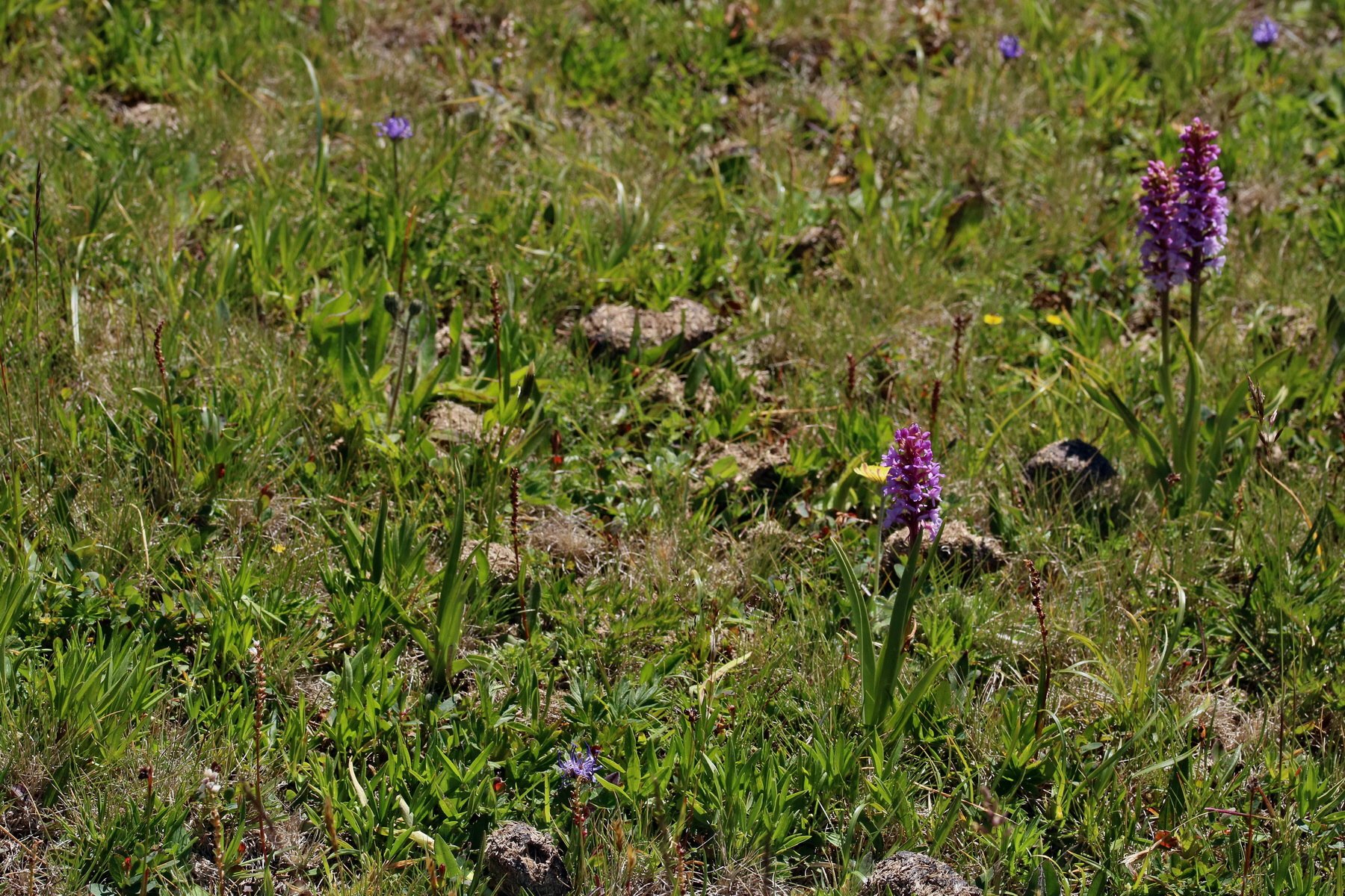 2017_07_04_037833p_Bildgr��e �ndern