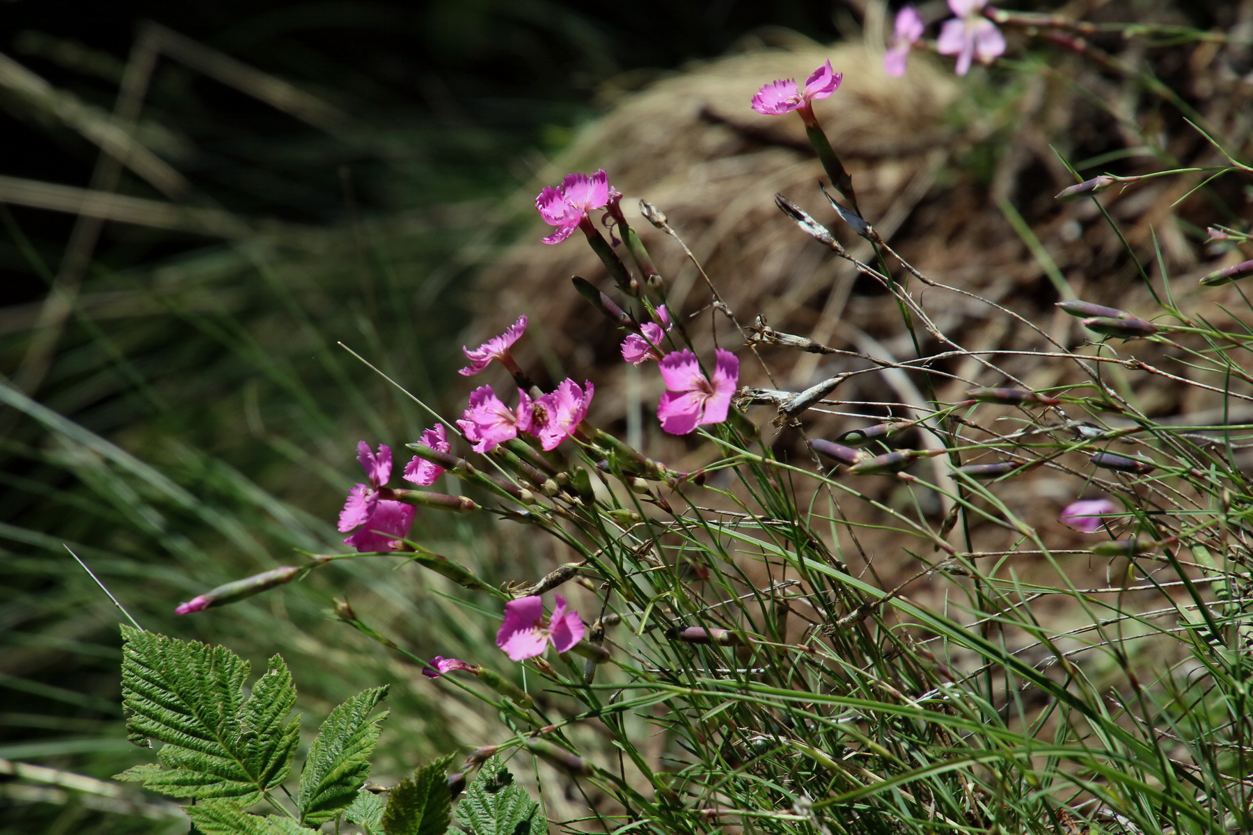 2017_07_04_037879p_Bildgr��e �ndern