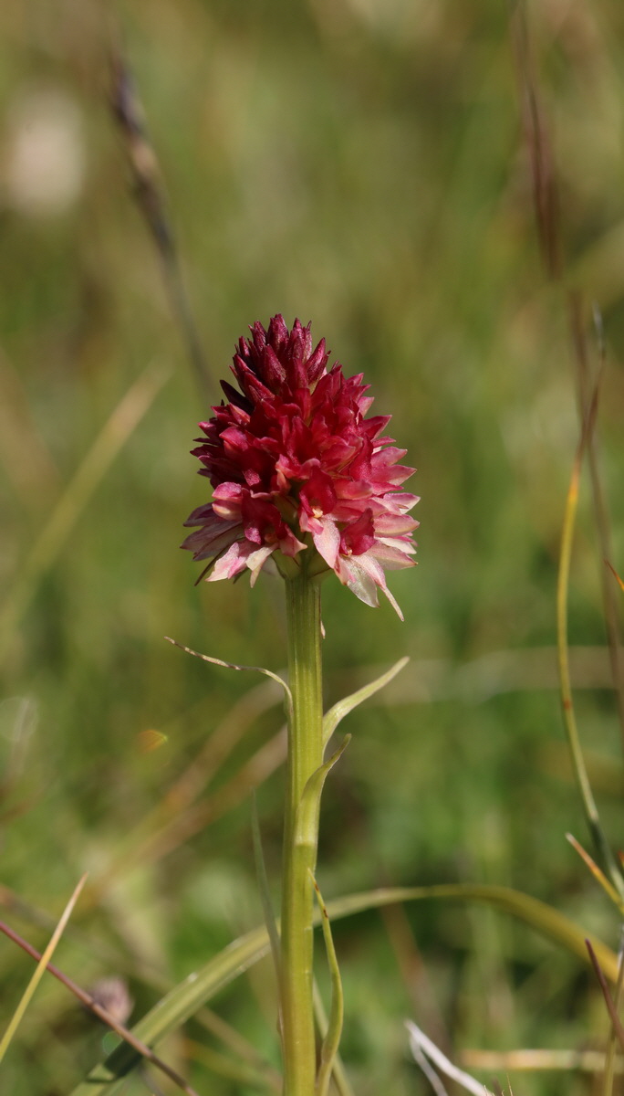 [Group 12]-2017_07_04_037397_2017_07_04_037400-4 images_Bildgr��e �ndern