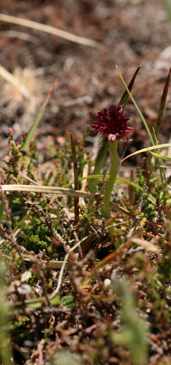 [Group 20]-2017_07_04_037624_2017_07_04_037627-4 images_Bildgr��e �ndern