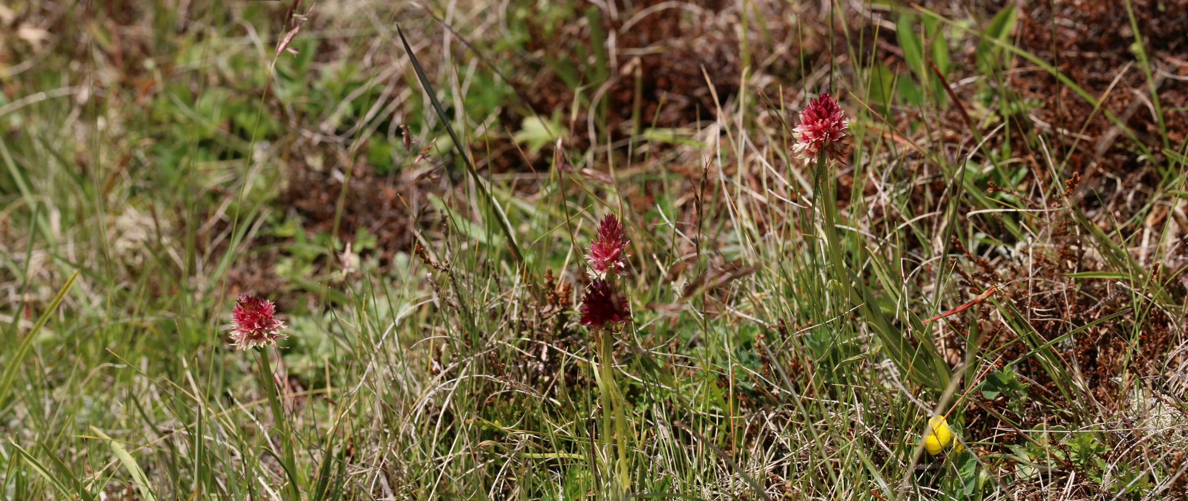 [Group 21]-2017_07_04_037670_2017_07_04_037679-10 images_Bildgr��e �ndern