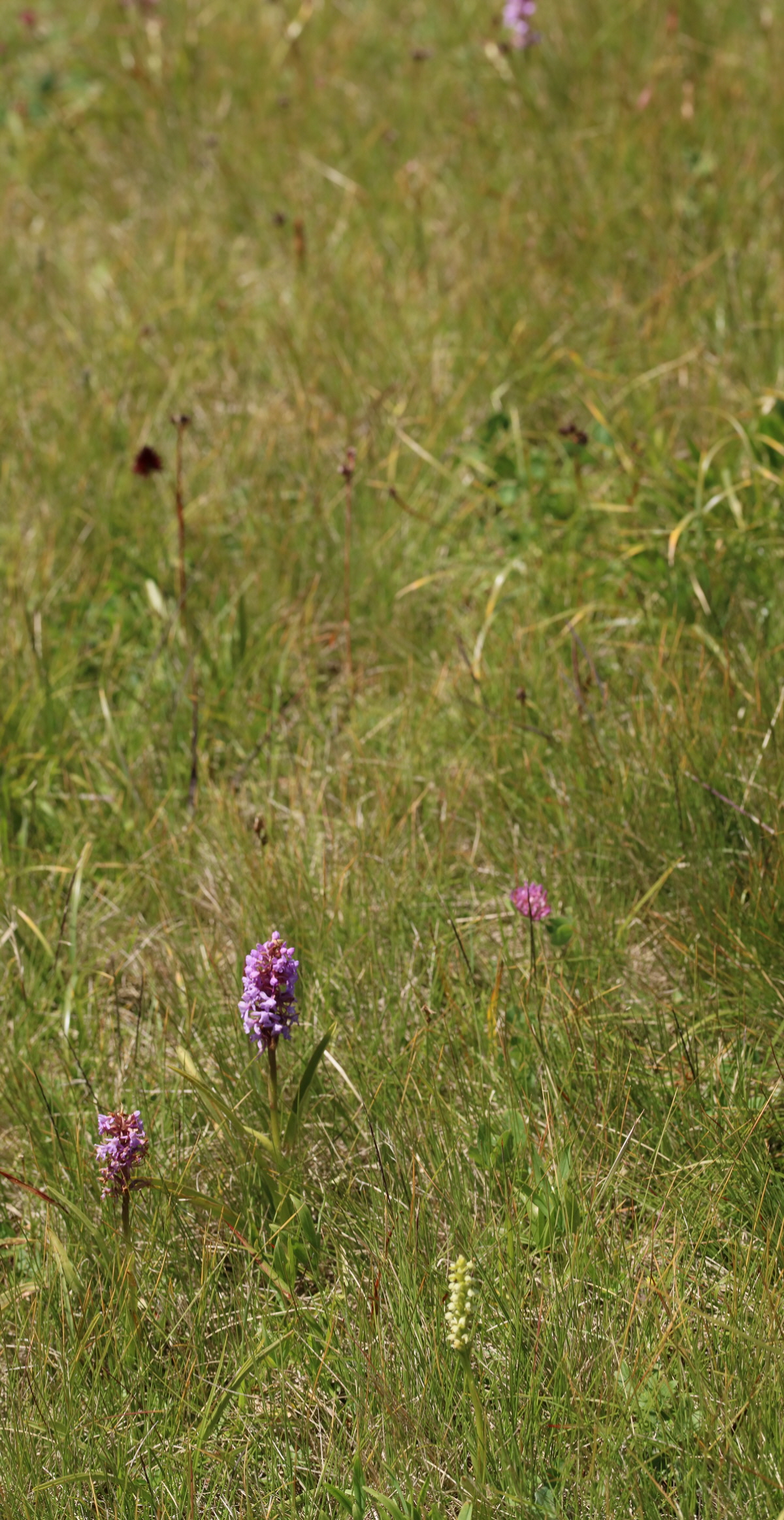 [Group 24]-2017_07_04_037752_2017_07_04_037760-9 images_Bildgr��e �ndern