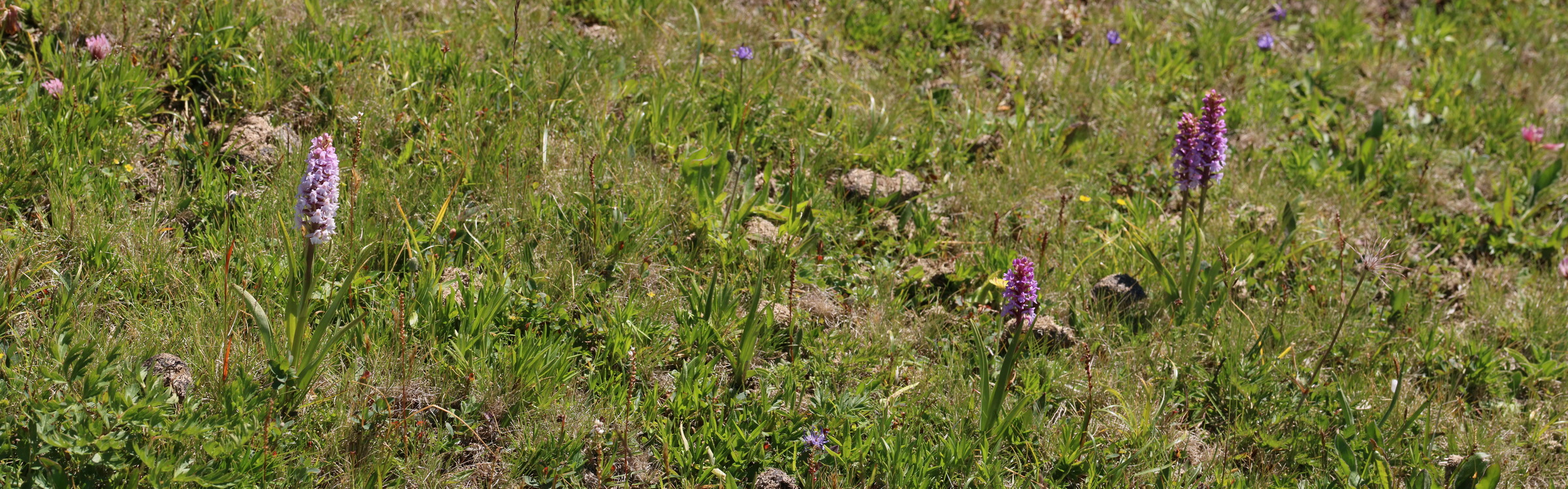 [Group 26]-2017_07_04_037830_2017_07_04_037835-6 images_Bildgr��e �ndern